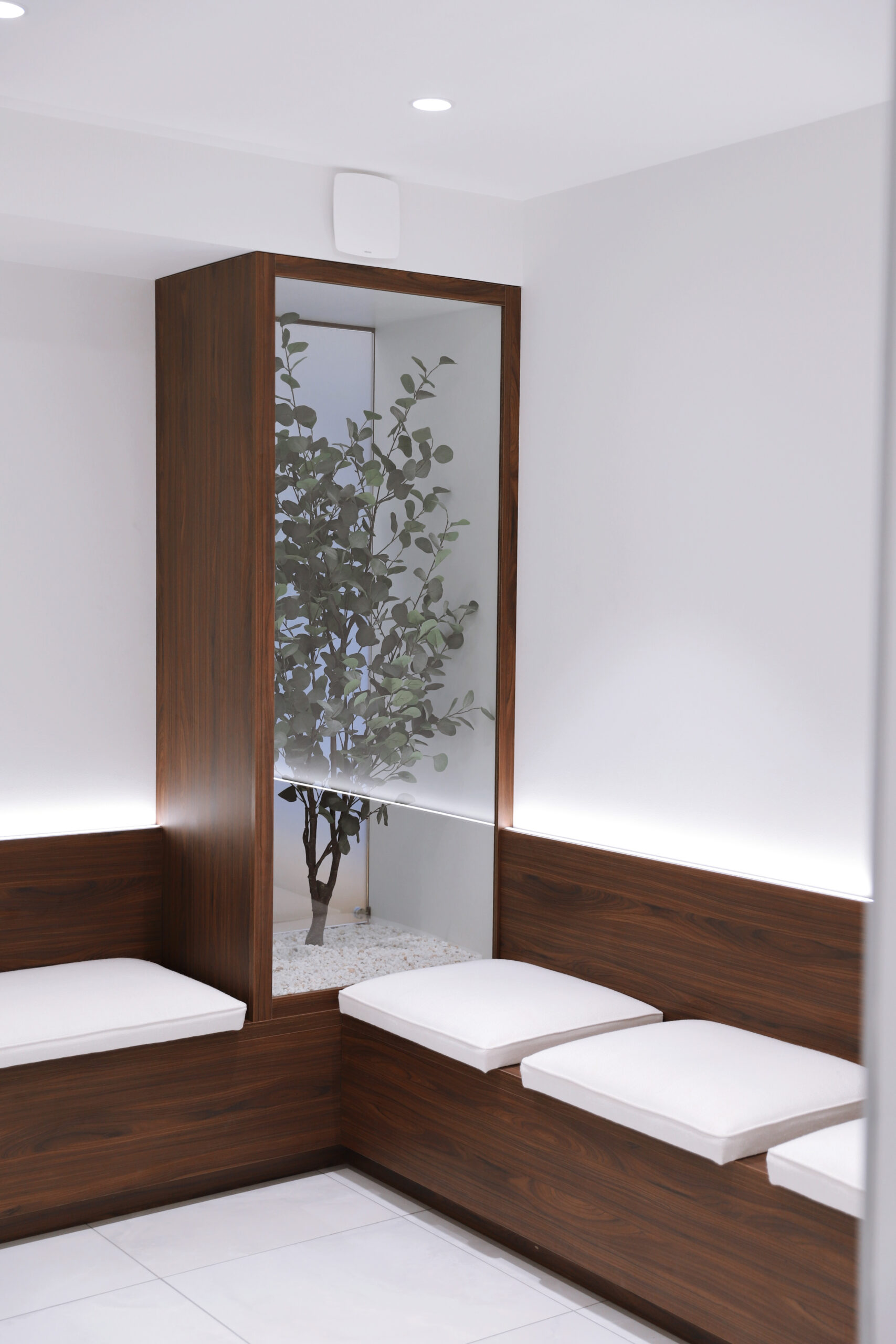 Created with RNI Films app. Profile 'Kodachrome 50's'